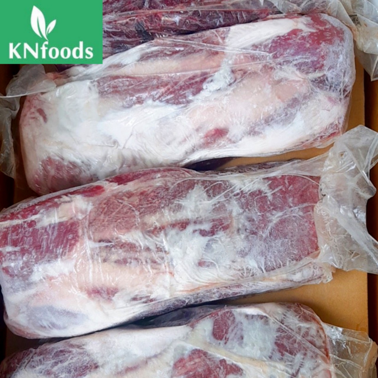 e31a6780449a8cc4d58b